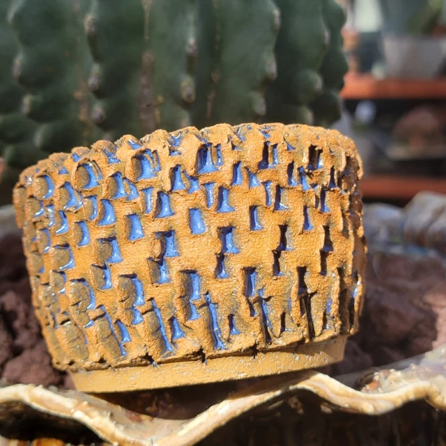 Peety Pots by Pablo Handmade Pottery - Wheel Thrown - Kiln Fired