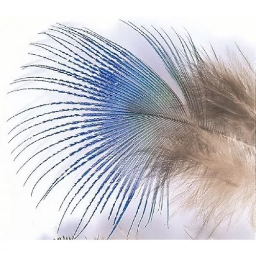 Peacock Blue Neck Feathers for Fly Tying,Hackle Feathers