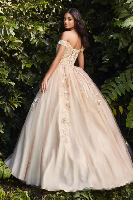 Formal Off Shoulder Layered Tulle Ball Gown Embroidered W/ Floral Applique 3