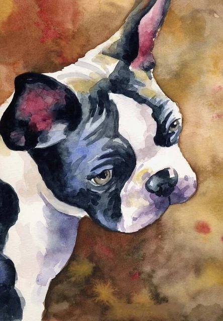 Boston Terrier Art__Cross Stitch Pattern