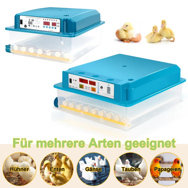 Brutautomat Vollautomatisch,Neu Eierbrutmaschine Digitale Geflügelbrutmaschine,Mehrzweckbrutmaschine,Inkubator für 36 Eier,für Hühnereier, Wachtel und