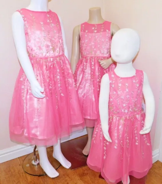 Jona Michelle Girls sleeveless Special Occasion Dress Strawberry embroi 5 sizes