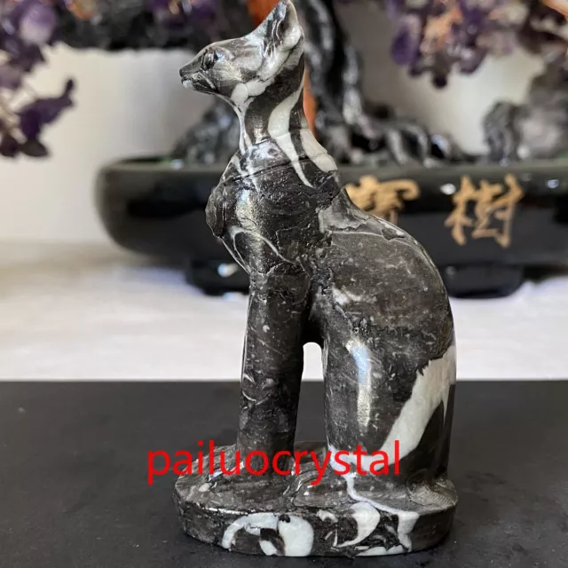 1pc Natural Black Zebra Hairless Cat Quartz Crystal Skull Carved Figurines 3"