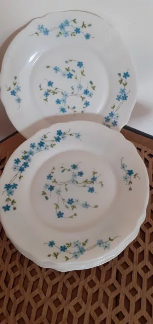 6 assiettes à dessert en arcopal vintage motifs Myosotis