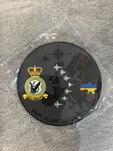 LIMITED EDITION 6 Sqn RAF We Believe in Ghosts PVC Patch