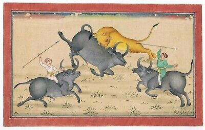 Indien Peinture Miniature De Chasse The Lion Art Sur Papier Ancien Scène