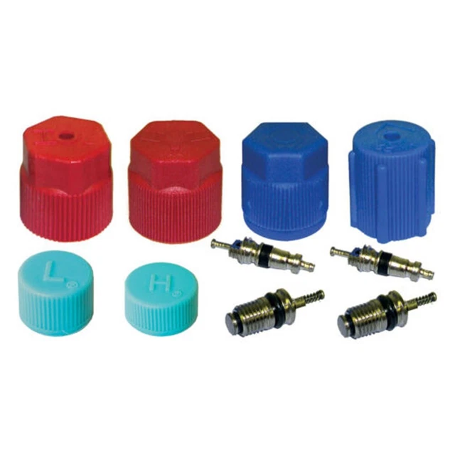 Kit De Noyau De Valve De Climatisation, Comprenant Des Noyaux De Valve R12 Et R134a Pour Les Systemes De Refrigeration De Climatisation 99188554 Kit De Noyau De Valve De Climatisation, Comprenant Des Noyaux De Valve R12 Et R134a Pour Les Systemes De Refrigeration De Climatisation 99188554