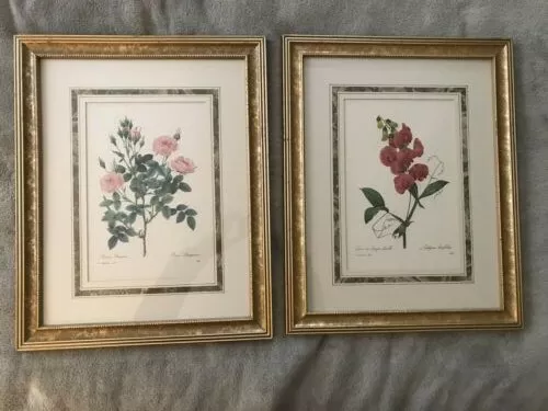 2 Vintage Floral Prints Framed and Matted 20.5 "H x 16.5"