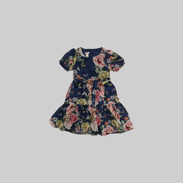 Monsoon roseanna dress top