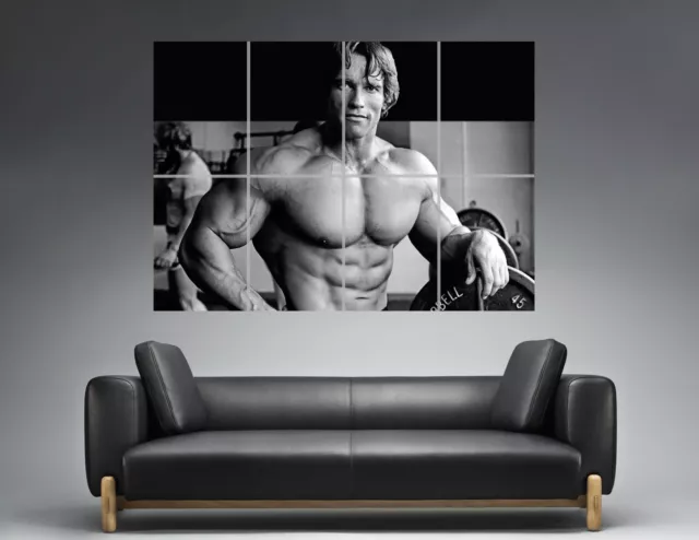 Arnold Schwarzenegger Conquer Bodybuilding Wall Art Poster Great Format A0 ref05