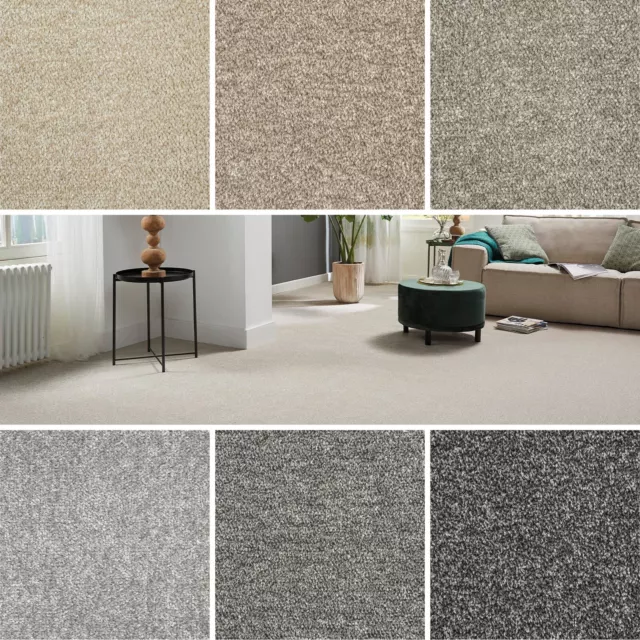 CARPET CHEAP 8MM Saxony Carpet 4m 5m Lounge Bedroom Grey Carpets Only £