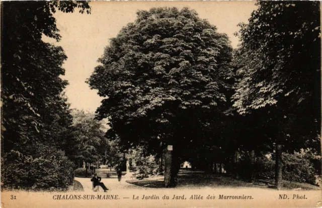 CPA CHALONS-sur-MARNE - Le Jardin du Jard Allée des Marronnieres (742377)