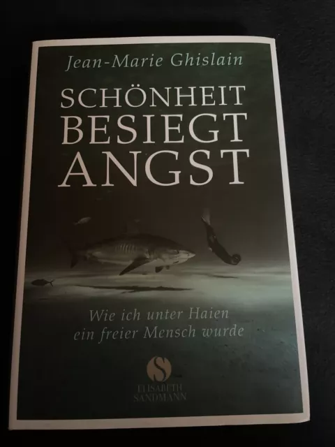 Jean-Marie Ghislain: Schönheit besiegt Angst (Gebundene Ausgabe, 9783938045954)