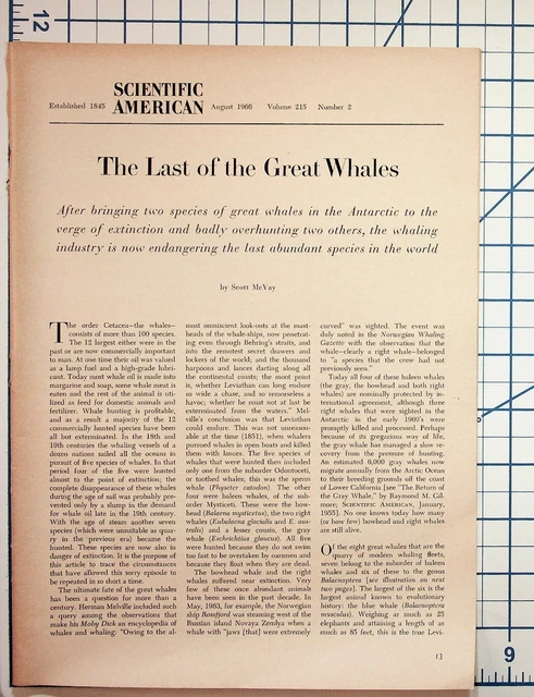 Unspecified, Unknown Date, Ephemera, Paper, Collectibles - PicClick