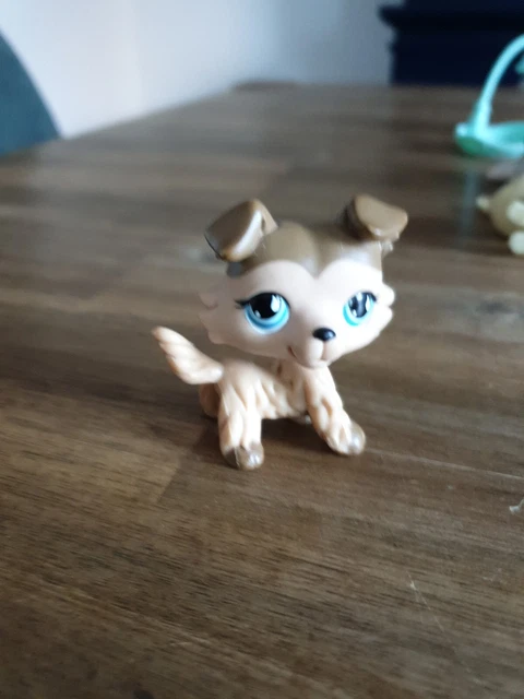 Petshop Colley d’occasion | Plus que 2 à -70