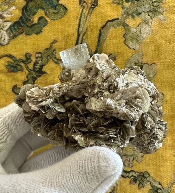 319g Aquamarin auf Muskovit Stufe aus Mineralien Sammlung Auflösung Konvolut
