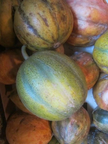 Voatango 1 Pièce Melon De Madagascar - Mora Market Voatango 1 Pièce Melon De Madagascar - Mora Market