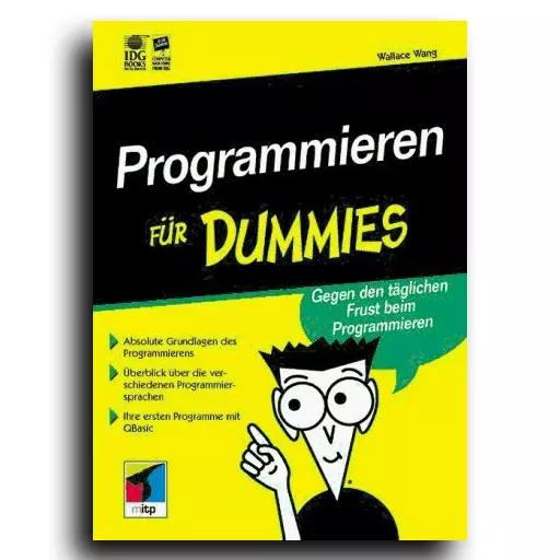 Programmieren für Dummies. Gegen den alltäglichen Frust ... | Buch