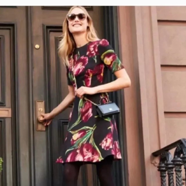 NWOT Dolce&gabbana tulip print wool dress