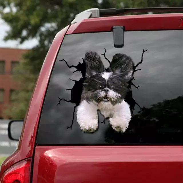 Funny Black White Shih Tzu Dogs Sticker Dogs Decal Crack Car 12x12” PVC PLASTIC