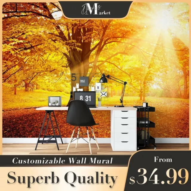 Autumn Trees Forest Seasons 3D Wall Mural Removable Designer Wallpaper Murals