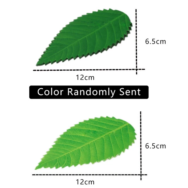 200Pcs/Bag Bento Baran Japanese Decorative Sashimi Green Leaves Sushi Leaves  q