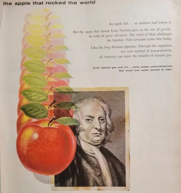 Isaac Newton Gravity Apple Tennessee Gas Company 1958 Time Print Ad ~7.5x11"