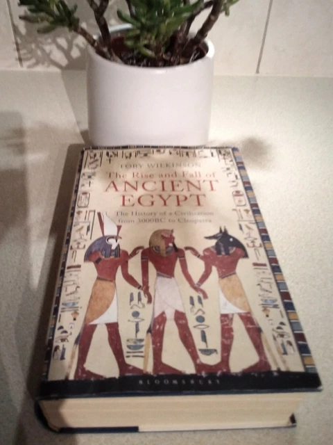 THE RISE AND Fall of Ancient Egypt by Toby Wilkinson Hardback Book EUR ...