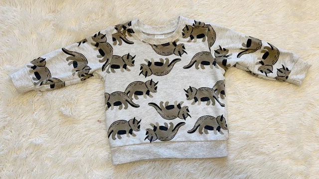 Lot Of 2 Carters Baby Boy Dinosaurs Sweater And Green Hoodie 12 Months 2