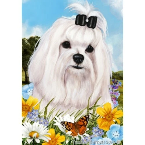 Summer House Flag - Maltese (Show) 18222