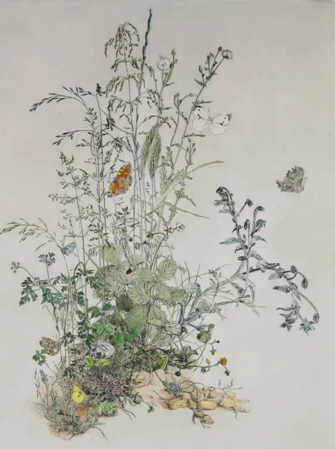 Gillian Whaite (1934-2012) - 20th Century Etching, Grasses and Butterflies 2