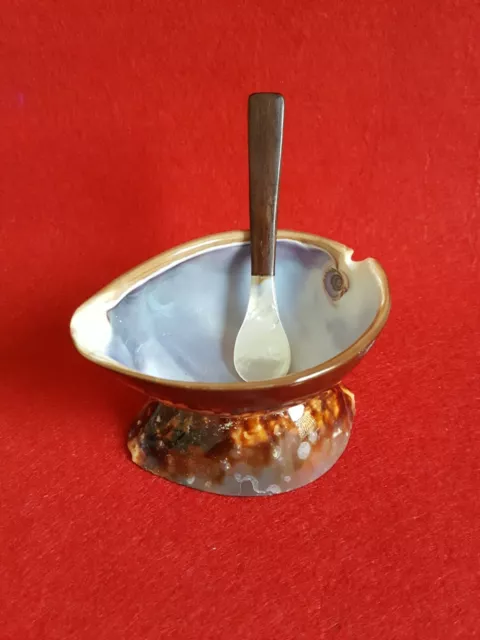 Set Shell Abalone Bowl Spoon Mother Of Pearl Caviar Egg Wood Handle Easter Party