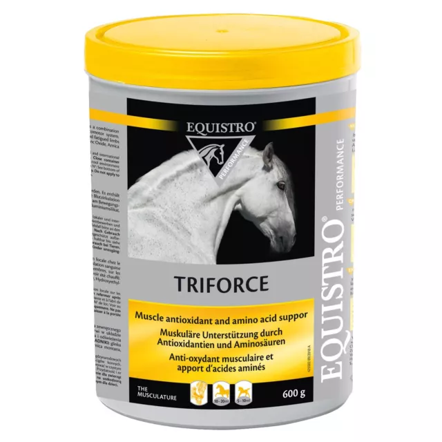 #SALE# EQUISTRO Triforce 600g Dose - MHD 05/2024