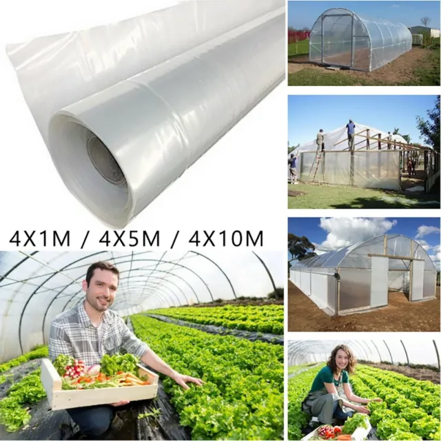 Vegetables Greenhouse Film Flowers Hot House Plant Plastic Transparent