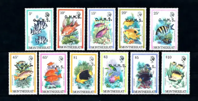 [49563] Montserrat 1981 Marine life fish Service stamps Overprint Ohms MNH
