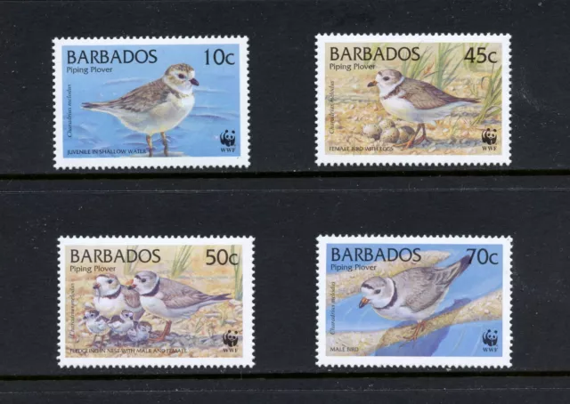 R3801 Barbades 1999 Oiseaux 4v. MNH