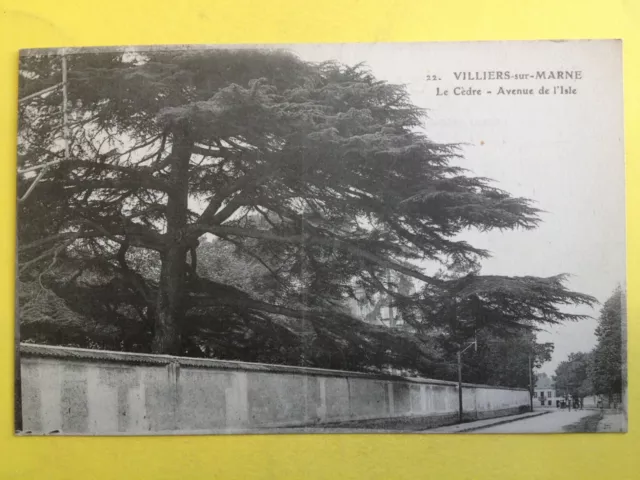 cpa FRANCE 94 - VILLIERS sur MARNE Le Cèdre Avenue de l'isle ARBRE TREE