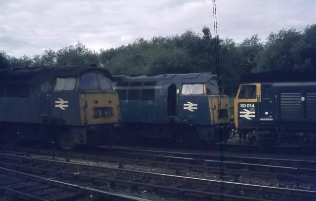 Original Slide BR Class 52 WESTERN Diesel D1043 D1053 + Class 50 50014 EX- May74