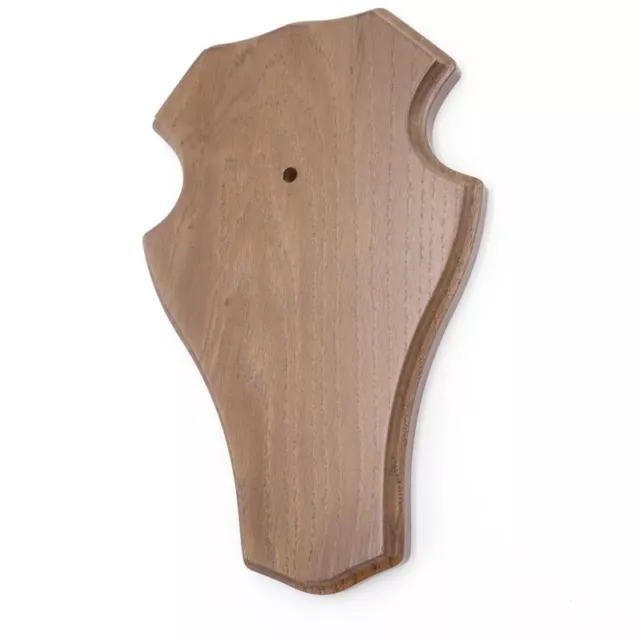 1 Pieza Ciervo Escudo de Trofeo Romo Grande Braun Af 21 X 13CM 2