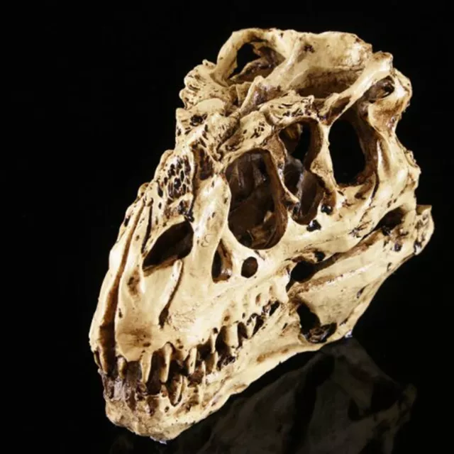 Tyrannosaurus T-Rex Skull Resin Fossil Model Dinosaur Collectibles Replica