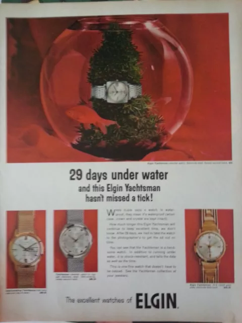 1966 Elgin Orologio Pesce Rosso Ciotola Yachtsman Originale Stampa Ad