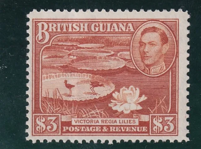 1945 British Guiana - Kgv1 - Sg:319 - $3 Red Brown - Unmounted Mint