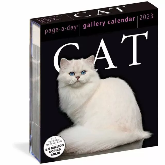 CAT PAGEADAY GALLERY Calendar 2023 by Ella Morton 9781523516537 NEW