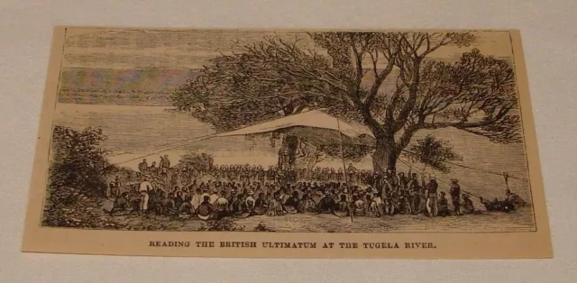 small 1884 magazine engraving ~ BRITISH ULTIMATUM TUGELA RIVER