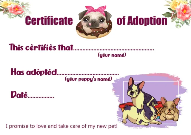 Pet Certificate of Adoption Cat Dog Rabbit Fish Unicorn Any Animal Size A4