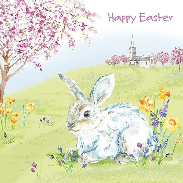 Charity Easter Cards - Spring Bunny  - Pack of 5 With Envelopes