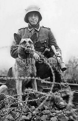 WW2 Picture Photo German soldier with a grenade and his dog 3105