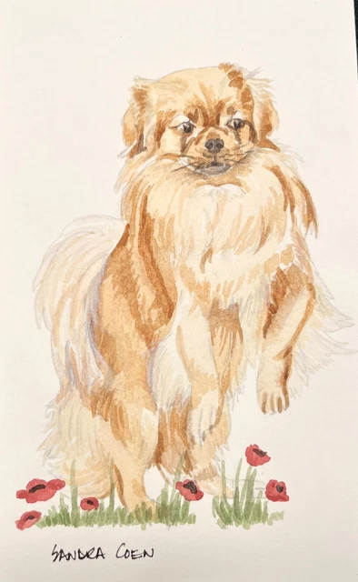 Tibetan Spaniel  Original Watercolor by Sandra Coen in Flowers