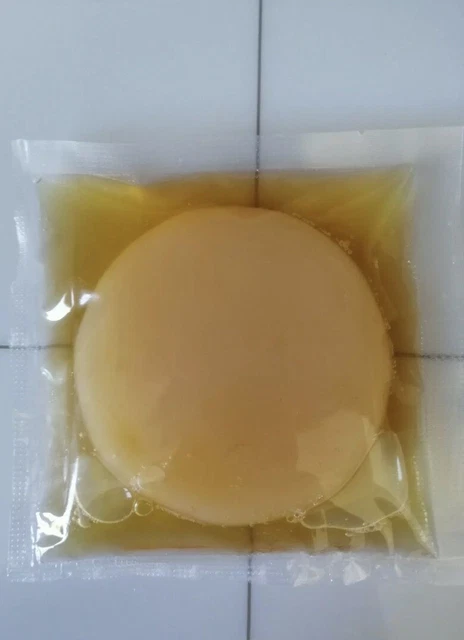 KOMBUCHA BIO SCOBY 6 cm + liquide de reprise