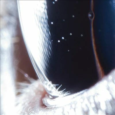 Roly Porter Third Law (Vinyl) (US IMPORT)